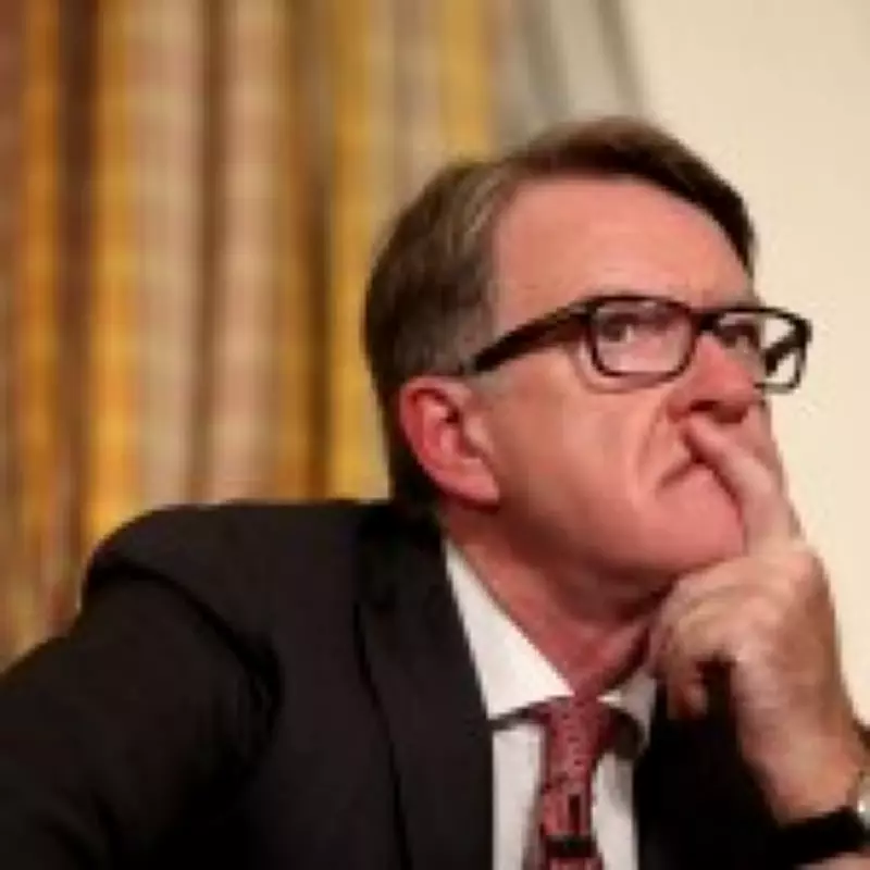 Minister's WhatsApps Lost in Phone Theft Amid Mandelson Files Release