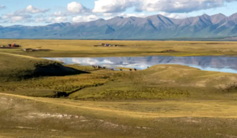Mongolia's Permafrost Melt: Climate Crisis Reshapes Ecosystem
