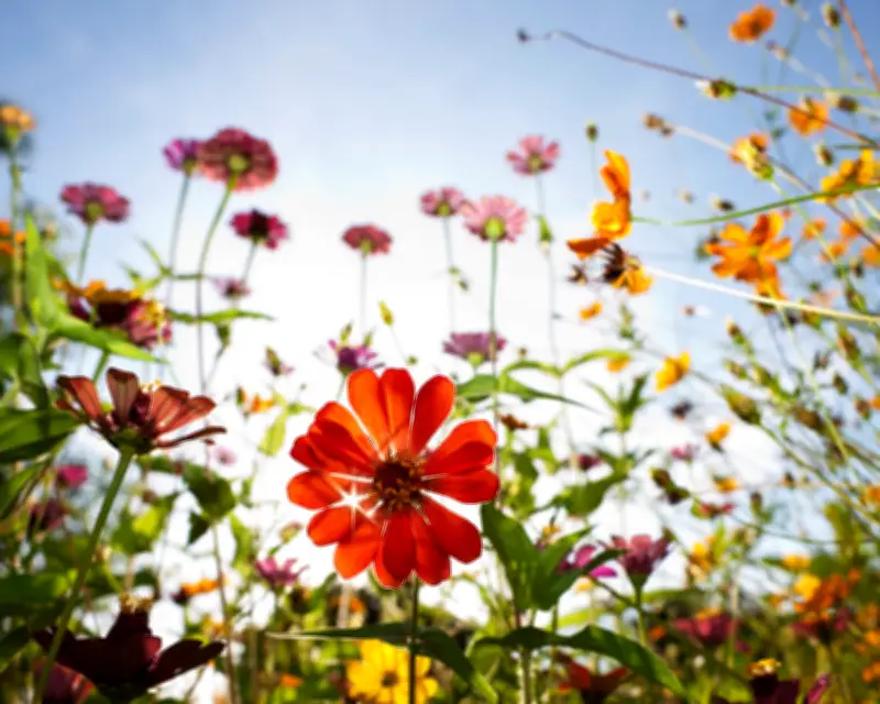 Natural History GCSE to Teach Students About Biodiversity and Conservation