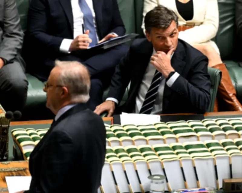 Parliament's final week before winter break: NDIS, tax, gambling ads in focus