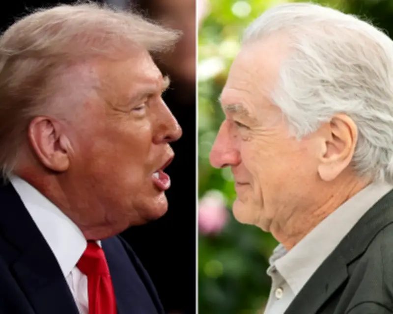 Robert De Niro leads 'Shut the F*** Up' chant against Trump at NYC concert