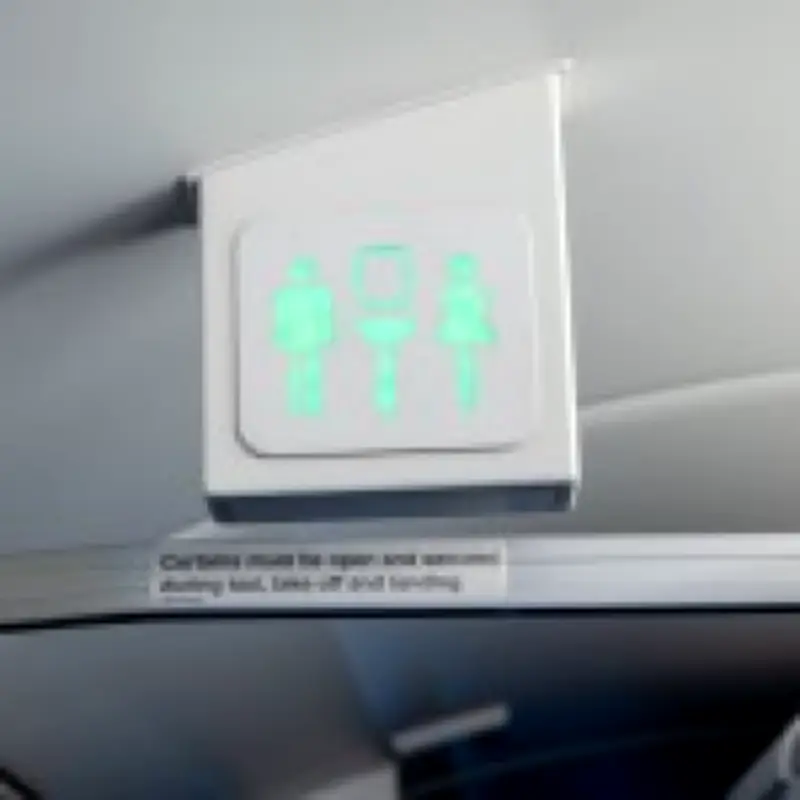 Secret cupboard in airplane toilets revealed: what's inside and how to open it