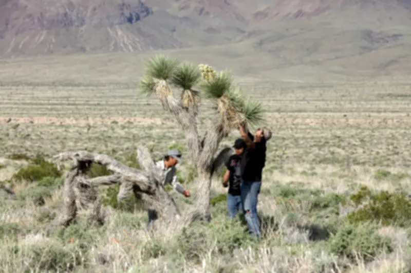 Showdown in the Desert: Small Town Fights New California Gold Rush