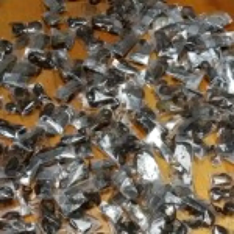 Smuggler caught trafficking 150 venomous scorpions at Cape Town airport