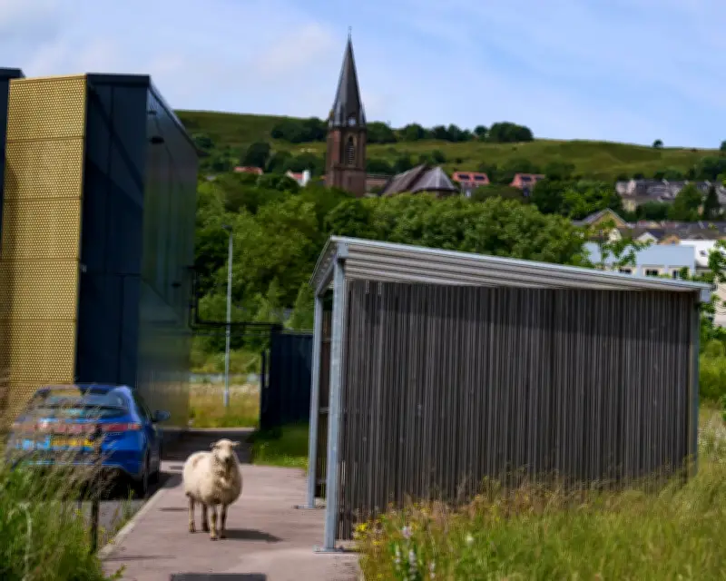 Struggle and Regret in Ebbw Vale, the Welsh Town That Backed Brexit