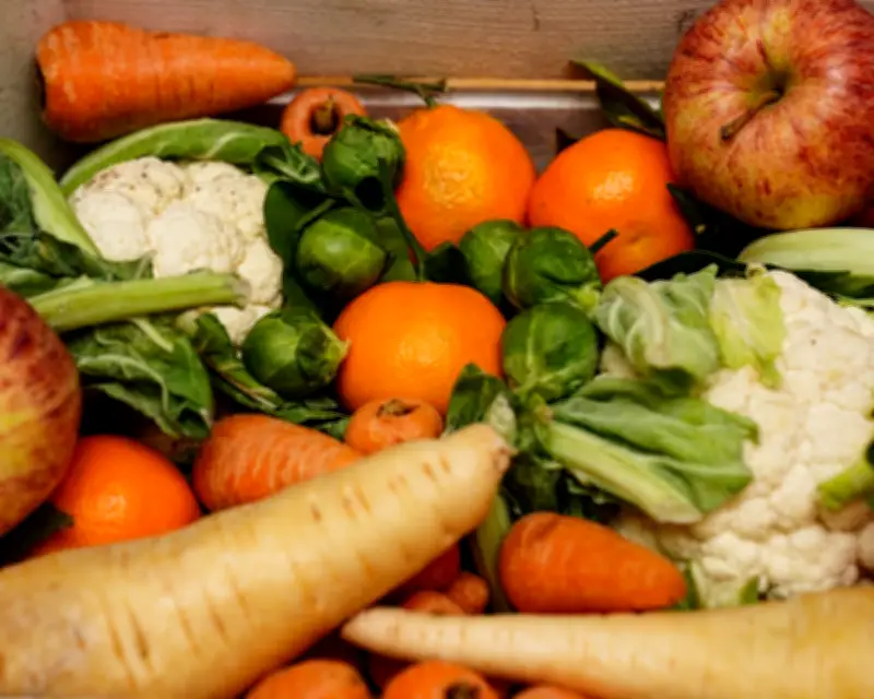 Supermarket food waste: up to 40% of US food goes uneaten, workers struggle