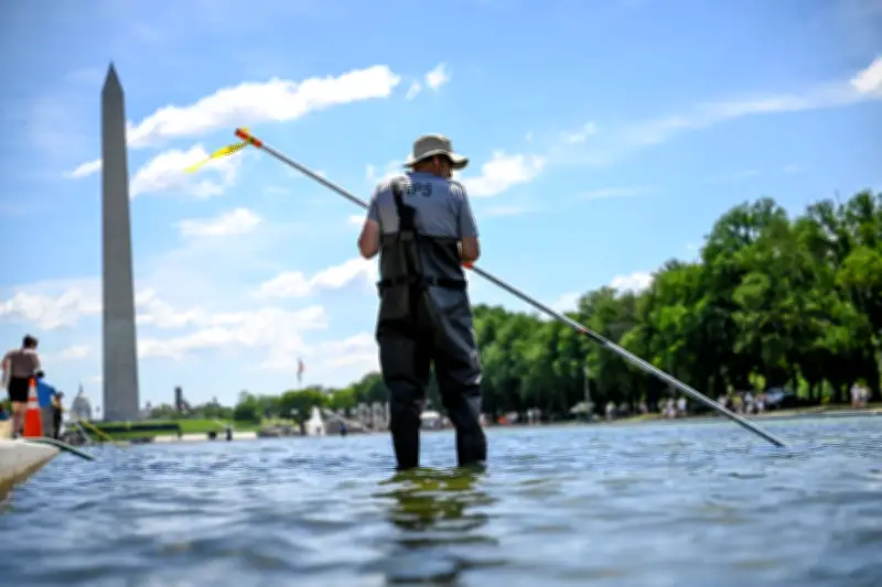 Trump's $14m Reflecting Pool Renovation Plagued by Algae, Peeling Paint