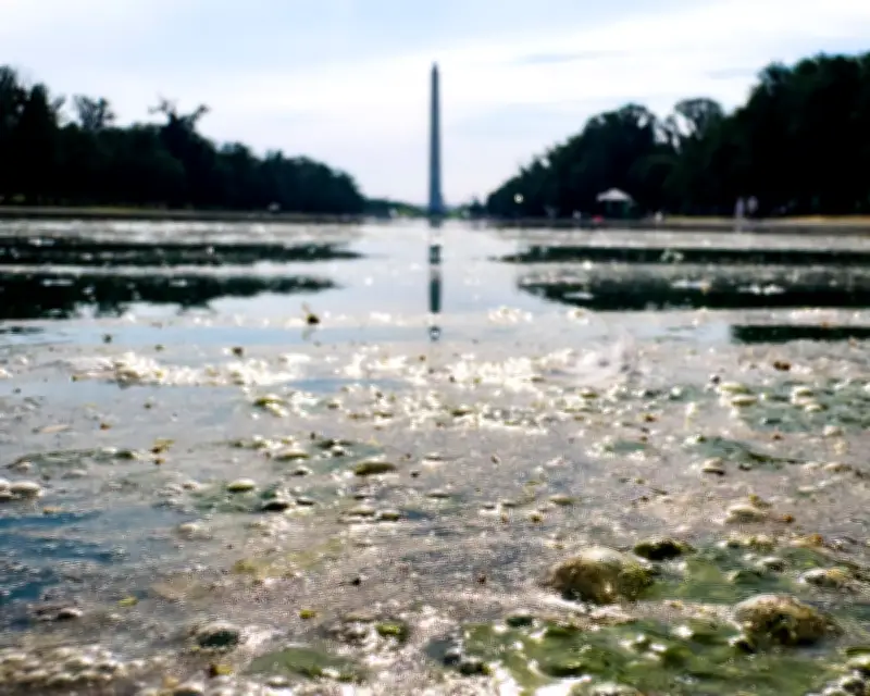 Trump's botched reflecting pool becomes 2,028ft metaphor for failure