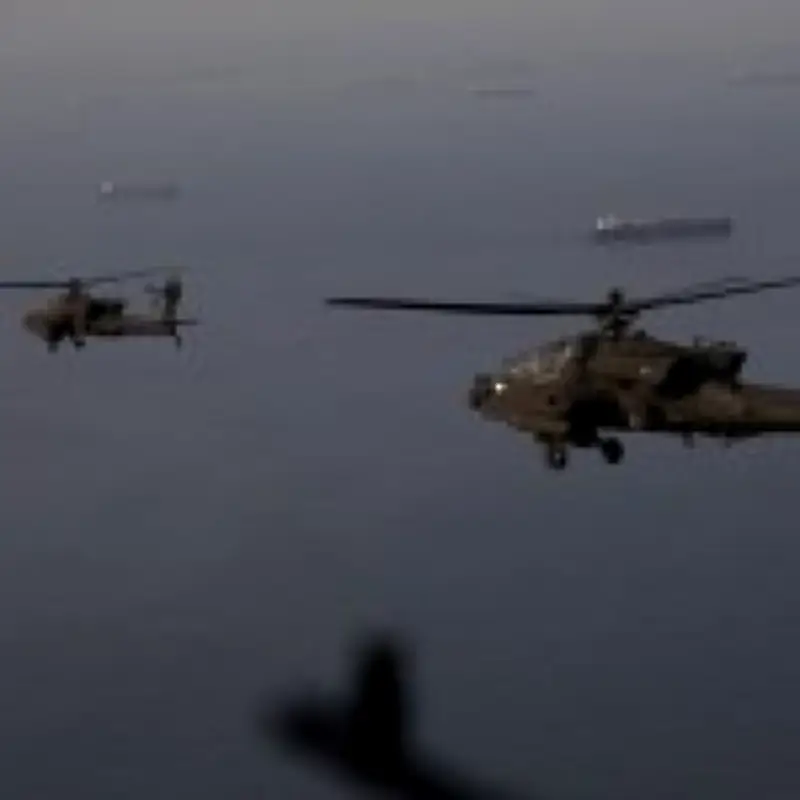 US Apache Downed by Iran Was 'Smuggling Oil' from Strait of Hormuz, Report Claims