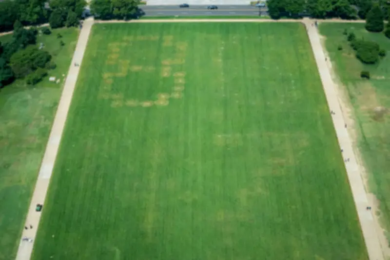 US authorities probe massive '8647' etching on National Mall grass