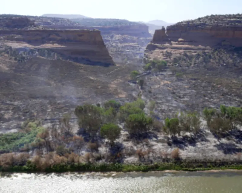 US weather: Western snow and eastern heatwave, wildfire risk rises