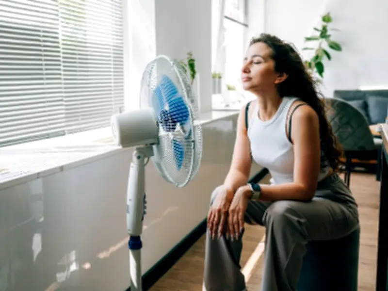 Watering roof tiles could cool homes during UK 36C heatwave, expert says
