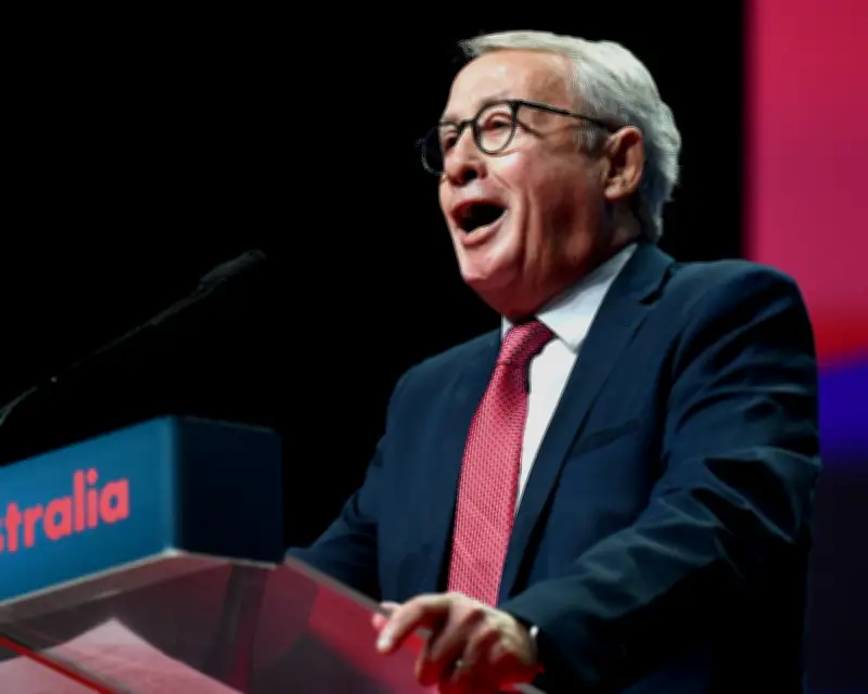Wayne Swan likens Pauline Hanson to Trump, warns Labor must resist One Nation