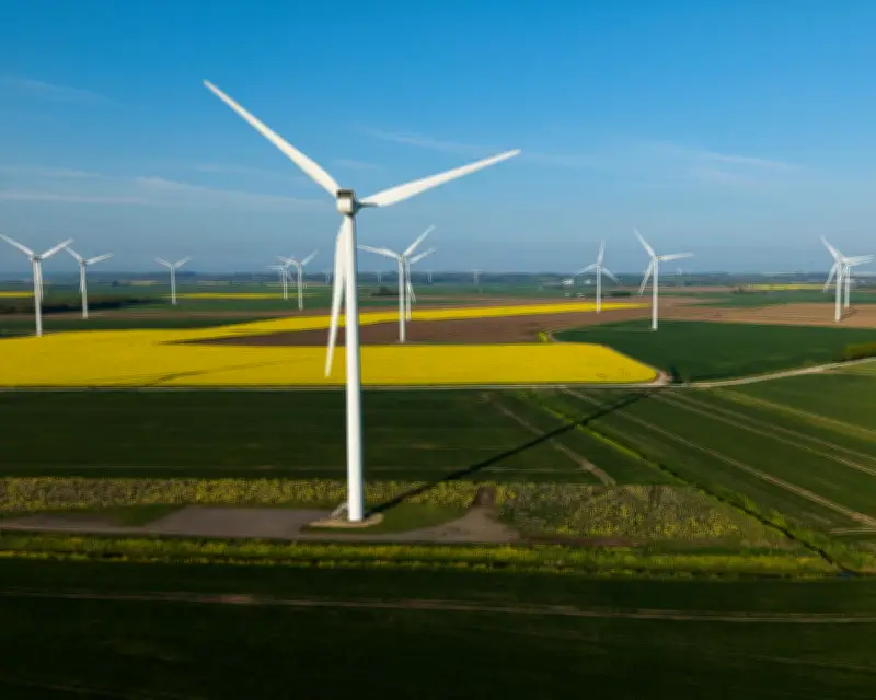 Weakening UK net zero policy would damage economy, says climate adviser