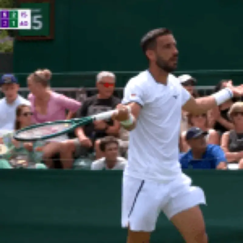 Wimbledon star Damir Dzumhur rages at umpire over controversial 'let' call