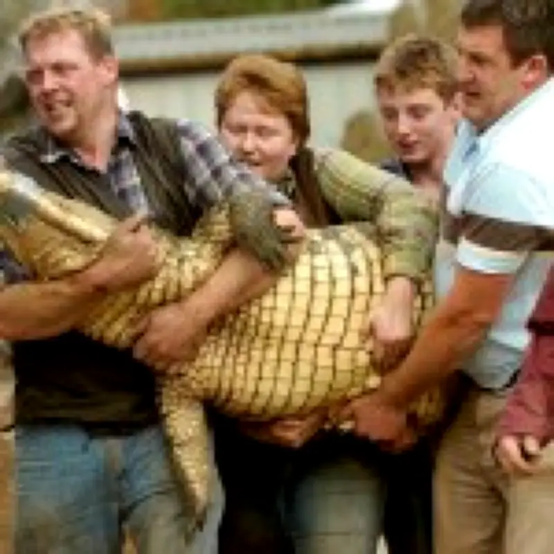 Zookeeper jumps into crocodile pit to save boy, 3, after stranger threw him in