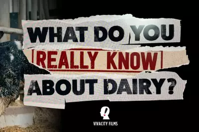 Viva Marks World Milk Day with Major Dairy Documentary Announcement