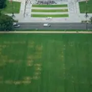 '86 47' threat code etched into National Mall grass targeting Trump