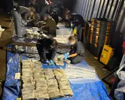 Australia's biggest cocaine seizure: 2.7 tonnes found buried under Sydney property