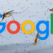 Google Plans to Release 32 Million Infected Mosquitoes in US