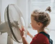 Heatwave triggers extra electricity generation for GB grid