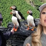 Iceland Birdwatching: Ariana Grande's Latest Obsession and Puffin Tours