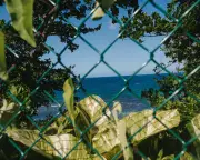 Jamaican Activists Take Legal Action to Halt Beach Privatization