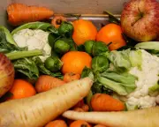Supermarket food waste: up to 40% of US food goes uneaten, workers struggle