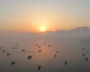 Trump Claims Oil Ships Moving Out of Strait of Hormuz