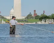 Trump's Reflecting Pool Vandalized at Lincoln Memorial, Iran Tensions Rise