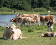 UK Government Warns Climate Crisis Will Cause Food Price Shocks and Shortages