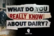 Viva Marks World Milk Day with Major Dairy Documentary Announcement