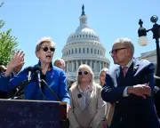 Warren warns Trump-era mega mergers could be undone by future administration