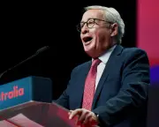 Wayne Swan likens Pauline Hanson to Trump, warns Labor must resist One Nation