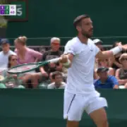 Wimbledon star Damir Dzumhur rages at umpire over controversial 'let' call