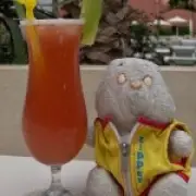 Woman's 40-Year Hunt for Stolen Care Bear in Spain Goes Viral