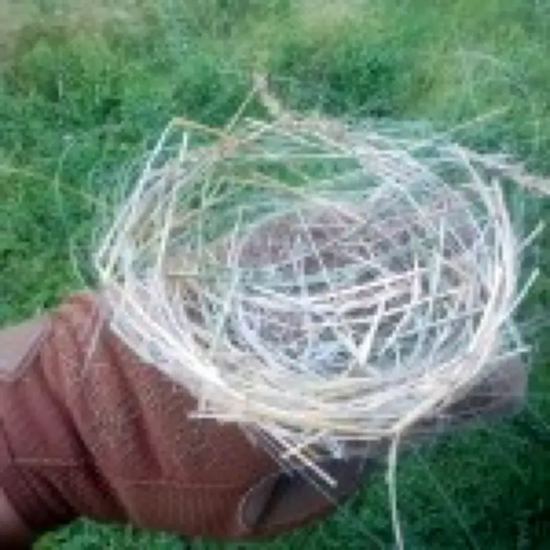Birds in Ukraine build 'apocalyptic' nests from fibre optic cables