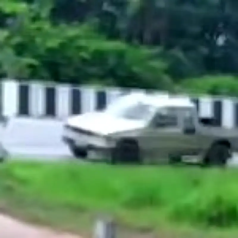 Boy, 11, crashes pick-up into 34 Buddhist monks, killing 8 in Thailand