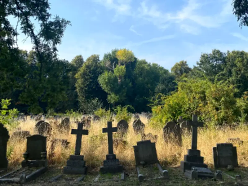 Brockley and Ladywell Cemetery: A Shaded South London Walk Near Top Pub