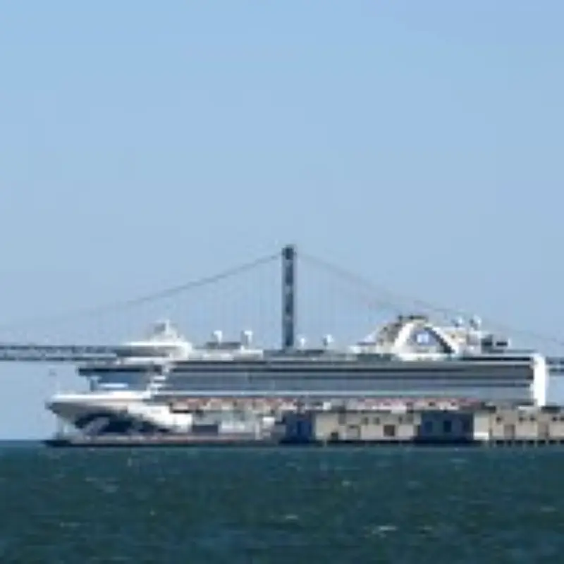 Cruise ship lockdown after norovirus hits 120 passengers and crew off California