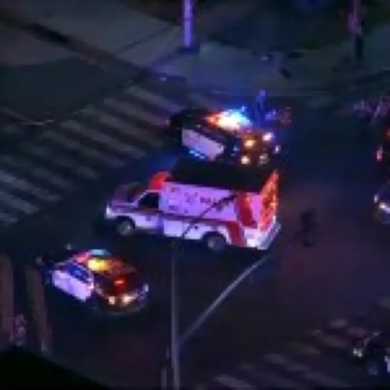 Four injured in shooting during World Cup celebrations in Los Angeles