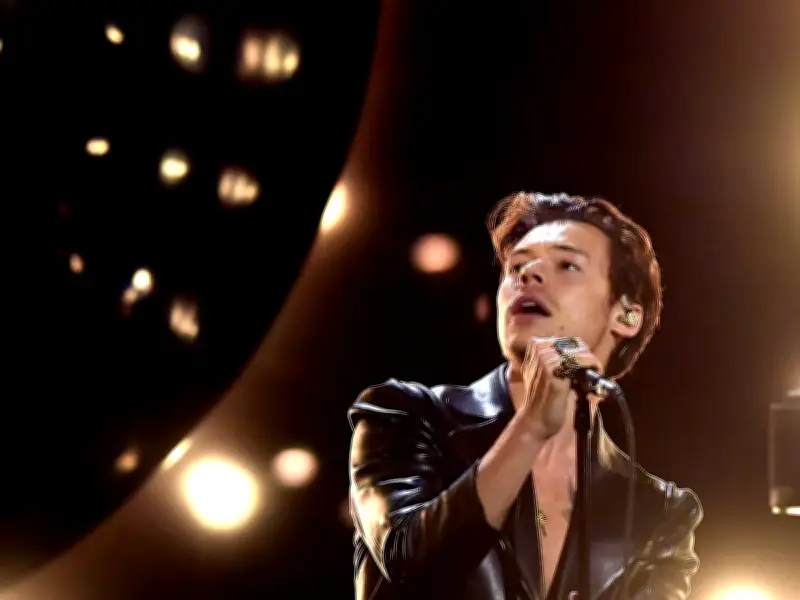 Harry Styles confused by cheering at Wembley until he sees fans dancing together