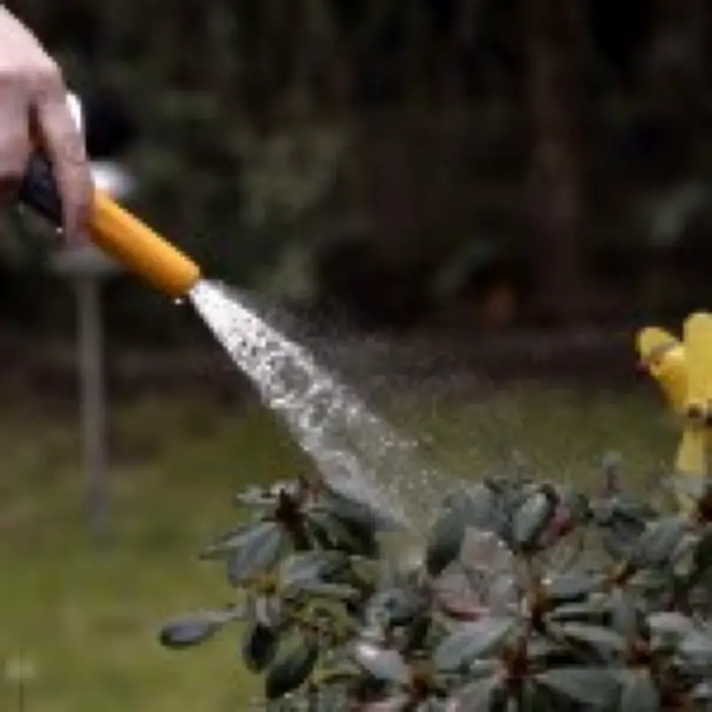 Hosepipe ban for 1 million people in Hampshire and Isle of Wight from July 10