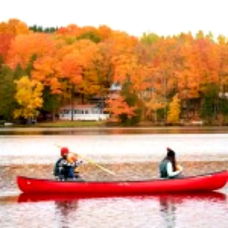 Maine: The Ultimate US Road Trip Destination for Nature Lovers