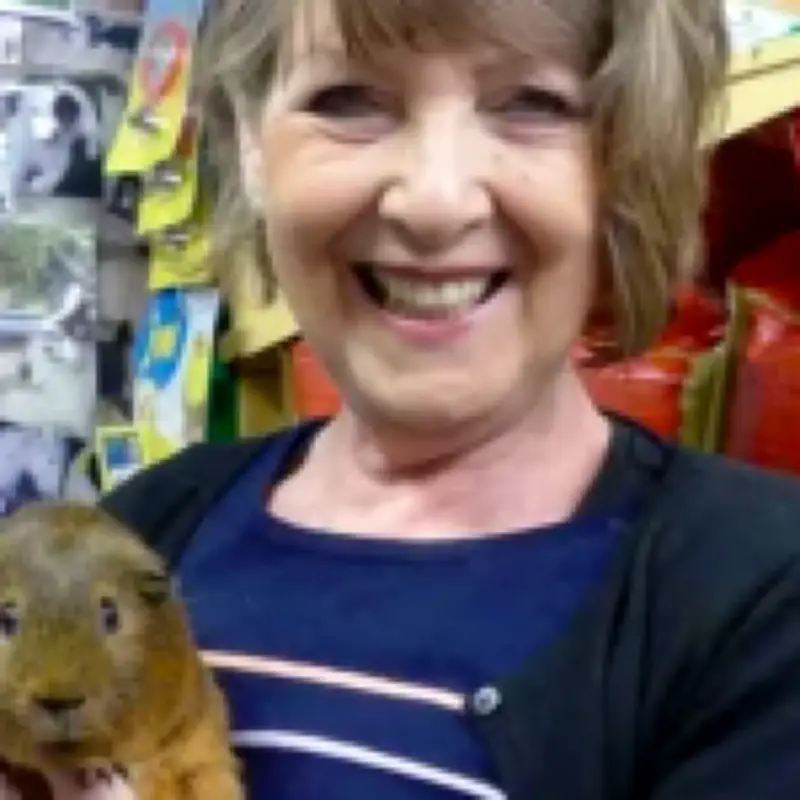 Murder investigation after crash kills pet shop owner, 70s