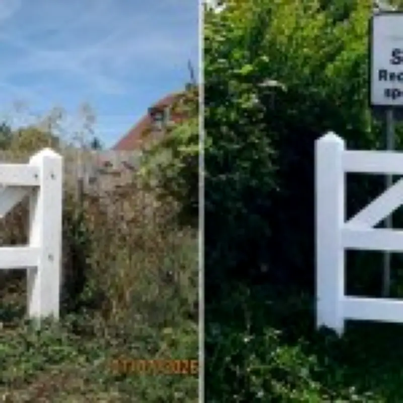Reform UK apologises for AI image of cleaned-up fence in Kent village