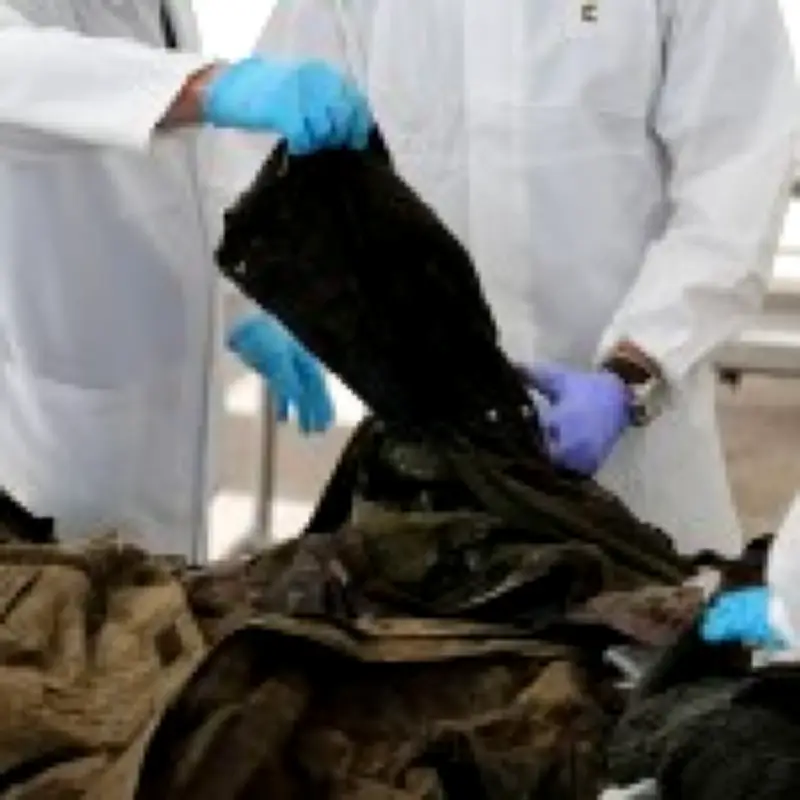 Russia returning Ukrainian war dead with explosives hidden inside bodies