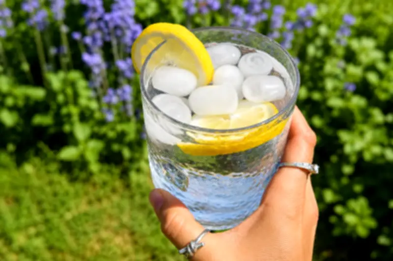 Stacey Solomon's Amazon Ice Machine Deal: Top Heatwave Essential