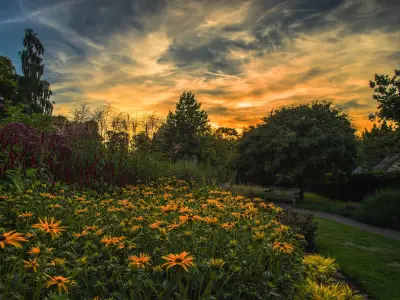 Hidden South London Park with Waterfall and Café Perfect for Families