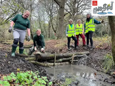 Why Bexley, Bromley and City of London haven't declared climate emergency